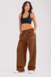 Day Night Straight Fit Joggers Brown [ Women's ]